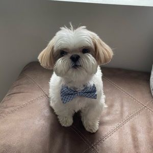 Meet your Posher, Nhi